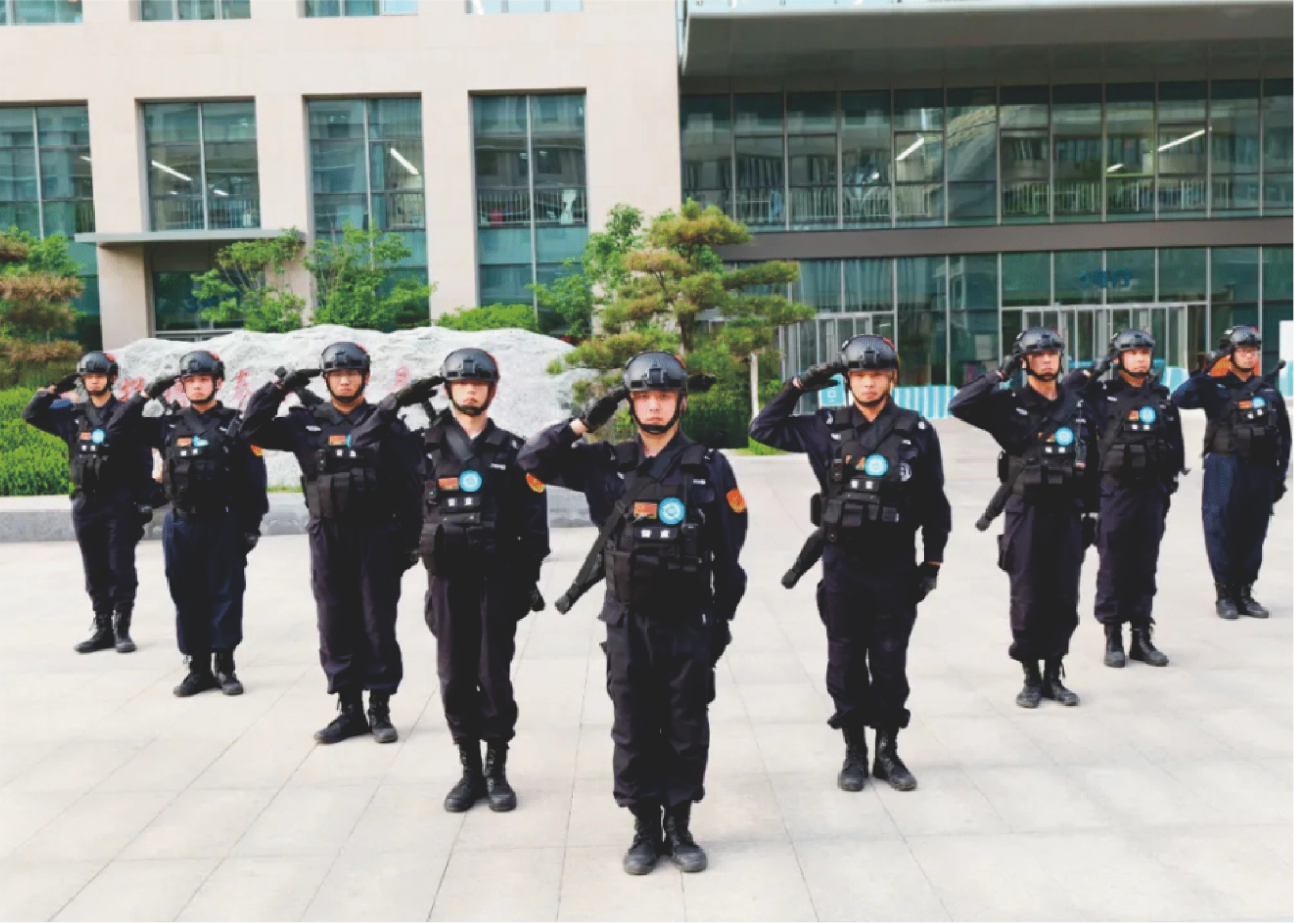 公共秩序维护