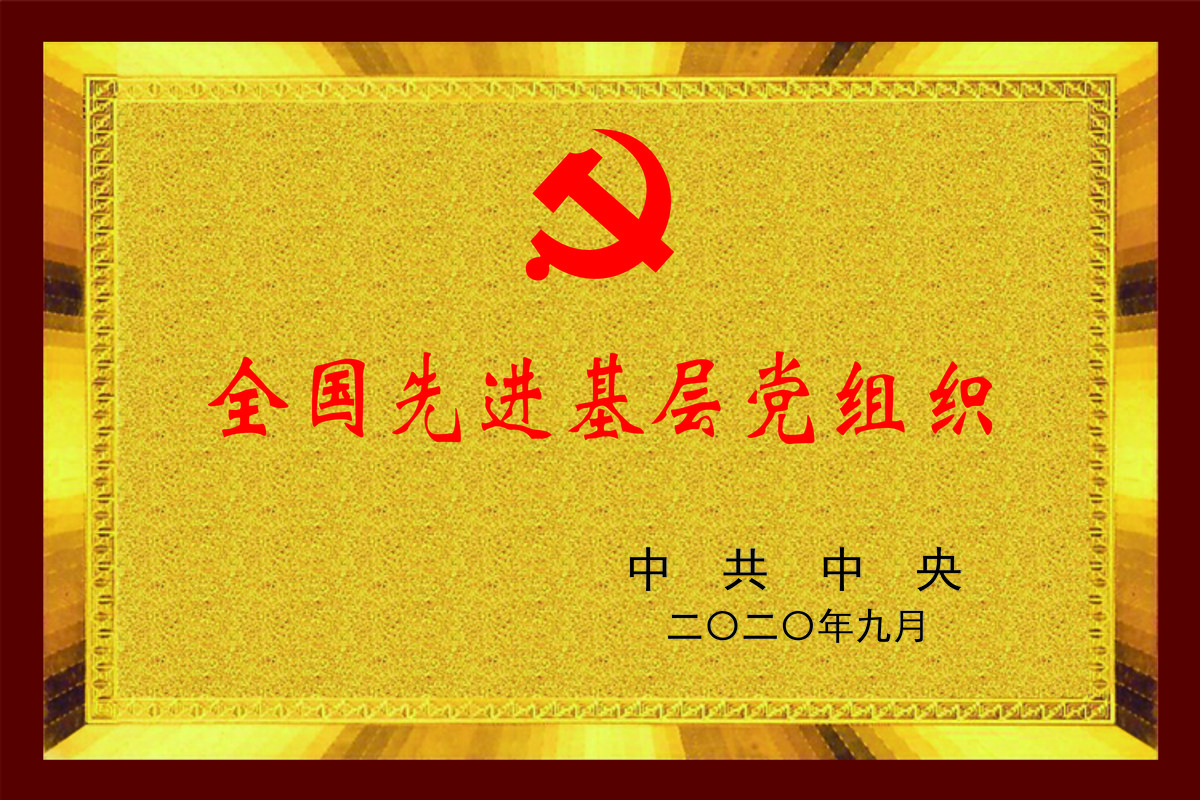 全国先进基层党组织